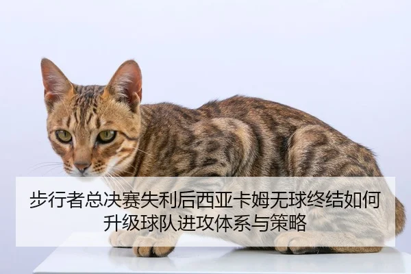bu-xing-zhe-zong-jue-sai-shi-li-hou-xi-ya-ka-mu-wu-qiu-zhong-jie-ru-he-sheng-ji-qiu-dui-jin-gong-ti-xi-yu-ce-lve-2-396.jpg