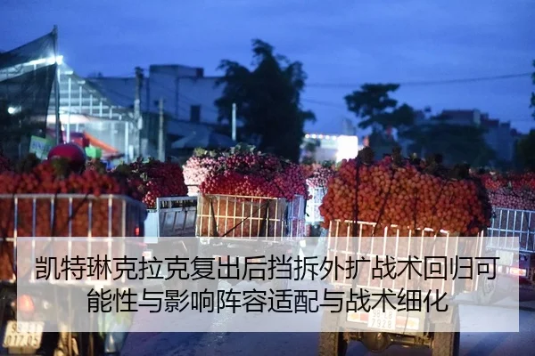 kai-te-lin-ke-la-ke-fu-chu-hou-dang-chai-wai-kuo-zhan-shu-hui-gui-ke-neng-xing-yu-ying-xiang-zhen-rong-shi-pei-yu-zhan-2-932.jpg