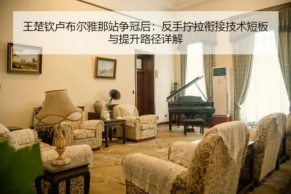 wang-chu-qin-lu-bu-er-ya-na-zhan-zheng-guan-hou-fan-shou-ning-la-xian-jie-ji-shu-duan-ban-yu-ti-sheng-lu-jing-xiang-jie-2-762.jpg