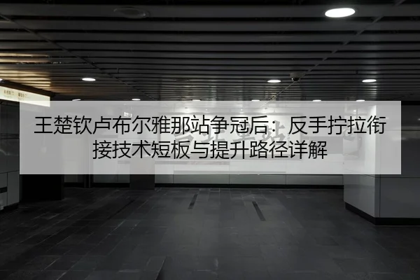 王楚钦卢布尔雅那站争冠后：反手拧拉衔接技术短板与提升路径详解