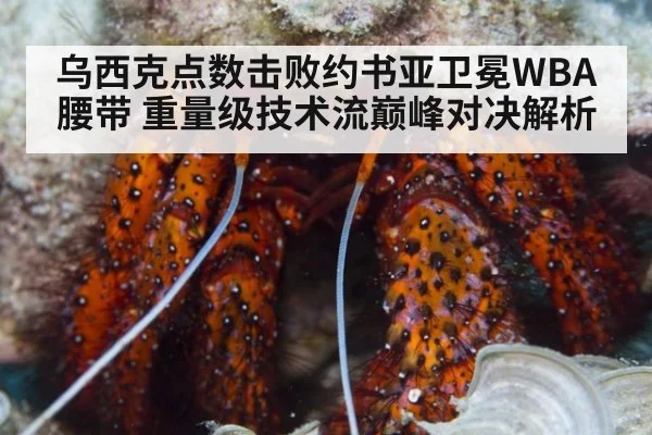 乌西克点数击败约书亚卫冕WBA腰带 重量级技术流巅峰对决解析